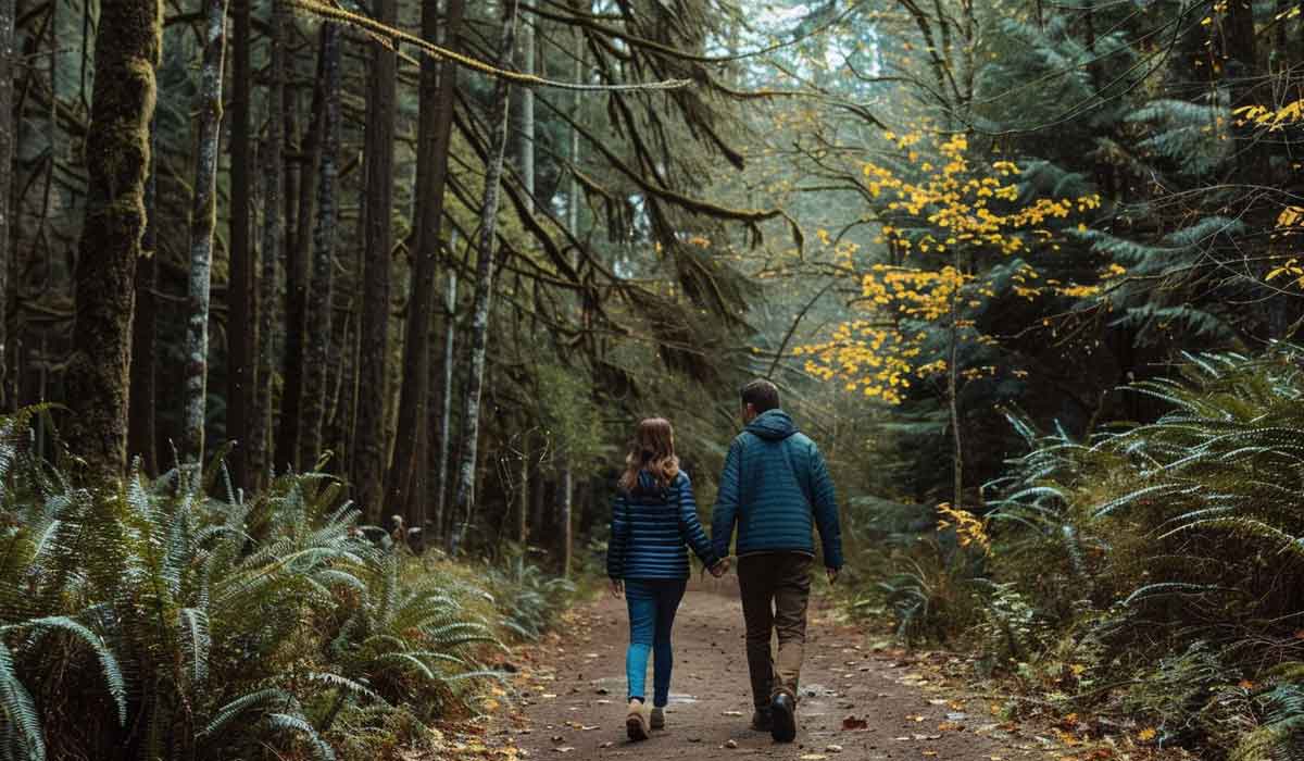 Two people wearing jackets walk hand-in-hand along a forest path surrounded by tall trees and green ferns.