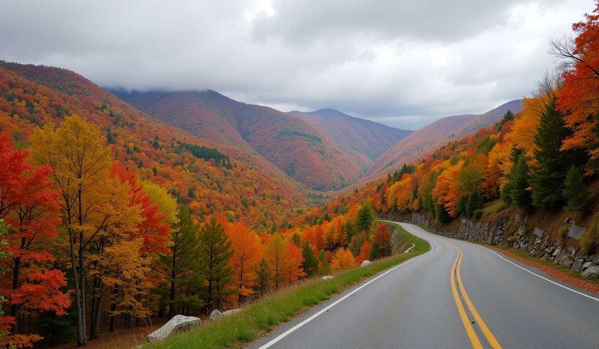 A winding road passes through mountains covered with colorful autumn trees under a cloudy sky.