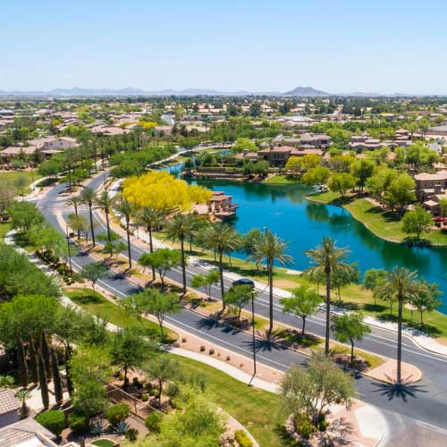 Aerial view of a suburban neighborhood with palm-lined roads, green lawns, and a large pond under a clear sky.