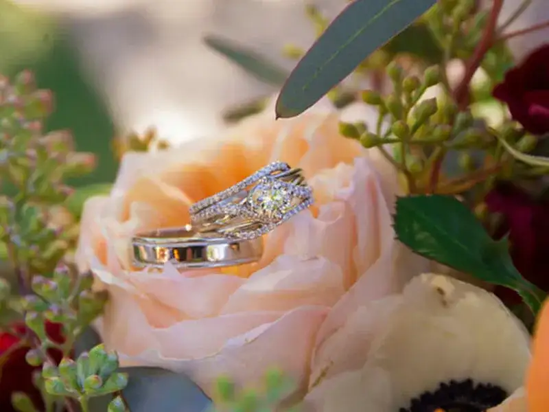 Two diamond rings rest on a pale peach rose surrounded by greenery and other flowers, captured in natural light.
